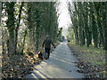 2008 : Middlewick Lane, Corsham