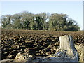 2008 : Ploughed field near Biddestone