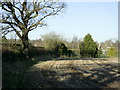 2008 : Field near Biddestone