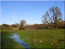 SU8695 : The stream, Hughenden Park by Andrew Smith