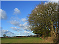 Farmland, Naphill