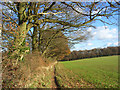 Farmland, Naphill