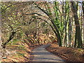 Hatches Lane, Hughenden