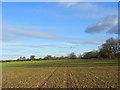 Farmland, Hughenden