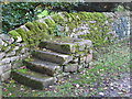 NY9166 : (Horse) mounting steps, St. Michael's Church, Warden by Mike Quinn