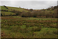 Field near Wenallt