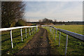 Horse tracks near Snailwell