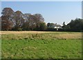 Grazing by the DNA cycleway - Shelford