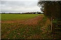 Footpath to Blagden Copse