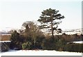 Corner of the garden, Helme Park Hall Hotel