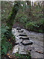 Stepping stones, Cwm Fforest