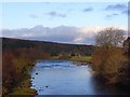 River South Tyne, Eals