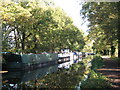 Houseboats on the Basingstoke Canal