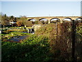 Blackmore & Brentvale allotments