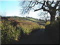 Minor road, north of Ashburton