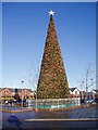 Giant Christmas Tree, Cheshire Oaks