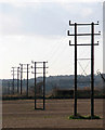 Electricity poles in stubble field
