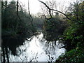 Pond in Bois Meadow