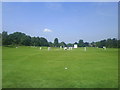 Cricket on the Common