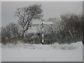 NY5376 : Snow covered signpost by David Liddle