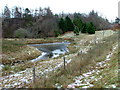 Frozen pond