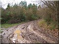 Muddy gateway near Ibthorpe