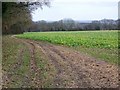 Boundary Footpath