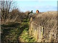 The Glevum Way, near Churchdown