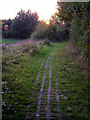 Footpath near Appledown Drive