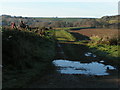 Track bed of the old Exe Valley railway line at Up Exe