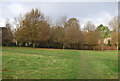 TQ5939 : Victoria Cross Grove, Dunorlan Park (3) by N Chadwick