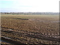 Wide open Suffolk fields