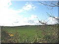 View across farmland from Cae-coch cottage towards the village of Pencarnisiog