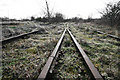 Colwick Sidings