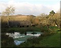 Pond and barn, Forder Green