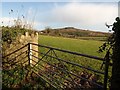 Field near Bickaton