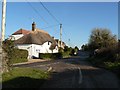 Milborne St. Andrew: Saddler?s Thatch