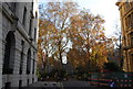 Autumn colours in Finsbury Circus