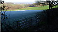 Footpath across a frosty meadow.