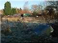 SP5696 : Abandoned Allotments Blaby by Michael Trolove