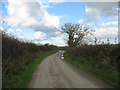 Road south of Tal-y-llyn Farm