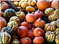 SP2656 : Squash and Gourds by Ian Paterson