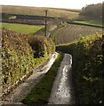 Lane near Parkfield