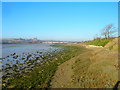 Low Tide Footpath, River Adur