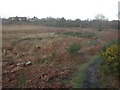 Tussock Bog, Turbary Common