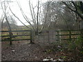 Kissing gate, Turbary Common