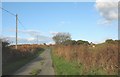 The Soar road south of Graig Farm