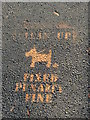 SP5696 : Irony On The Footpath Blaby by Michael Trolove