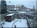 Buxton Avenue Snow