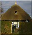 Thatch at Hogben